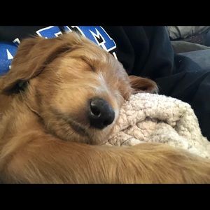 Meet your Posher, Meghan